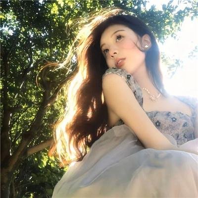 公司业务
